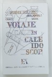 VOIAJE IN CALEIDOSCOP de IRENE HILLEL - ERLANGER , 2022