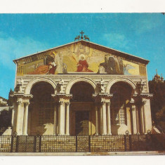 FA3 - Carte Postala - ISRAEL - Jerusalem, Church of all Nations, necirculat