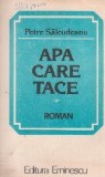 Apa care trece (roman)