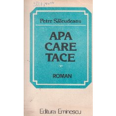 Apa care trece (roman)