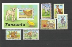 TANZANIA 1988 FAUNA ANIMALE DOMESTICE foto