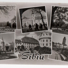 CPI B 11604 CARTE POSTALA - SIBIU, MOZAIC, RPR