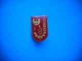 HOPCT ROMANIA INSIGNA VECHE PIONIER TEHNICIAN I- [ 6 ]