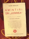 Amintiri din "Junimea" / Iacob Negruzzi