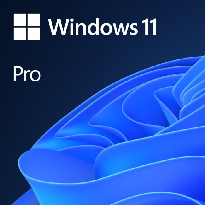 Microsoft Windows 11 Professional, licenta electronica
