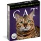 Cat Page-A-Day Gallery Calendar 2024