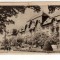 TIMISOARA B-DUL 30 DECEMBRIE STAMPILA OVALA DE PLATA ORADEA 2 LIBRARIA N RPR