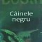 Stephen Booth - Cainele negru