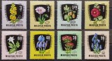 BC932, Ungaria 1961, serie flori