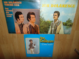 LOT 3 DISCURI VINIL -ION DOLANESCU, Populara, electrecord