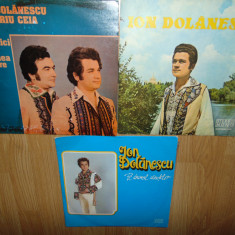 LOT 3 DISCURI VINIL -ION DOLANESCU