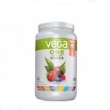 Proteina Vegetala Organic All-In-One Shake cu Aroma de Fructe de Padure, 688g, Vega