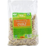 Fulgi Crocanti de Ovaz Ecologici/Bio 250g