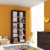 Dulap KSC 2 ro Wenge+Mesteacan