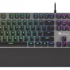 Tastatura Gaming Genesis Thor 400 RGB (Negru/Gri)