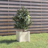 Jardiniera gradina Gossi, 31x31x31cm, lemn pin masiv, alba, ghiveci flori, legume, ierburi, suport decor gradina, balcon, terasa