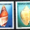 NOUA CALEDONIE 1992, Scoici, serie neuzată, MNH