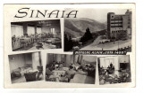 SINAIA HOTEL ALPIN COTA 1400 INTERIOR MOZAIC RPR, Circulata, Fotografie