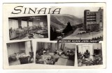 SINAIA HOTEL ALPIN COTA 1400 INTERIOR MOZAIC RPR