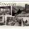 SINAIA HOTEL ALPIN COTA 1400 INTERIOR MOZAIC RPR