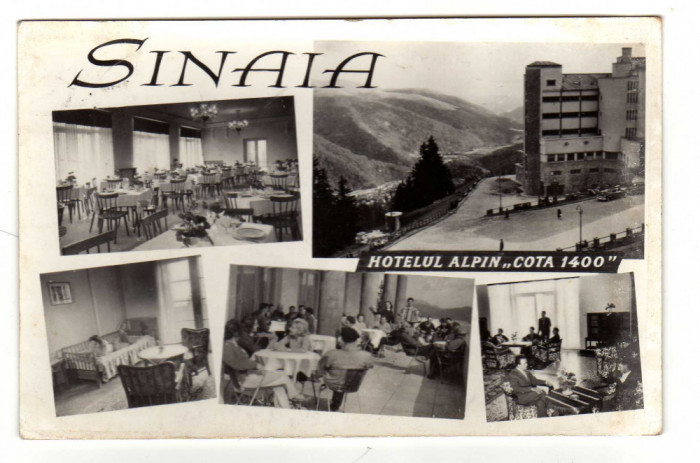 SINAIA HOTEL ALPIN COTA 1400 INTERIOR MOZAIC RPR