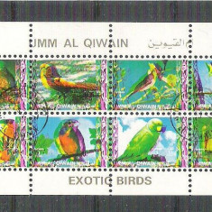 Umm al Qiwain - Birds, perf. mini block, used AB.055