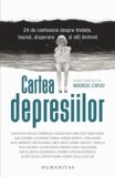 Cumpara ieftin Cartea depresiilor. 24 de confesiuni despre tristete, teama, disperare si alti demoni/Marius Chivu, Humanitas