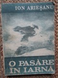 Ion Ariesanu - O pasare in iarna