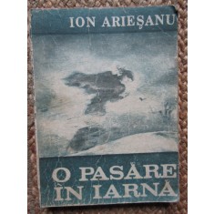 Ion Ariesanu - O pasare in iarna
