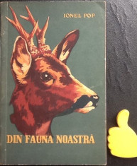 Din fauna noastra Ionel Pop foto