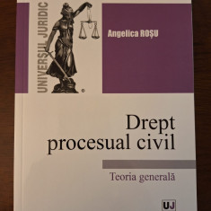 Drept procesual civil. Teoria generala - Angelica Rosu