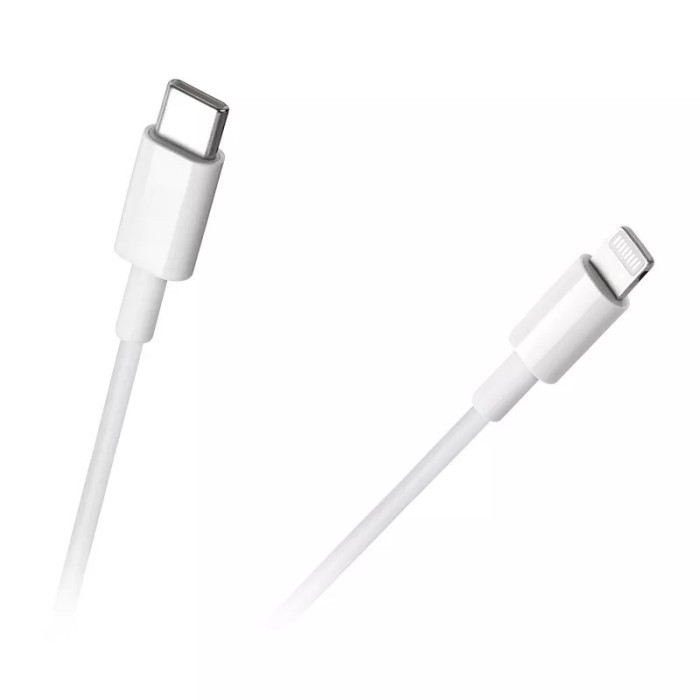 Cablu USB TYPE C - LIGHTNING iPhone 1m REBEL