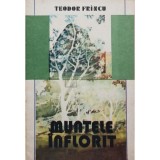 Teodor Frincu - Muntele inflorit (Editia: 1981)