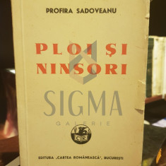 PLOI SI NINSORI