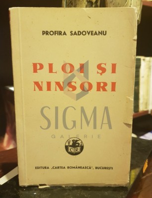 PLOI SI NINSORI foto