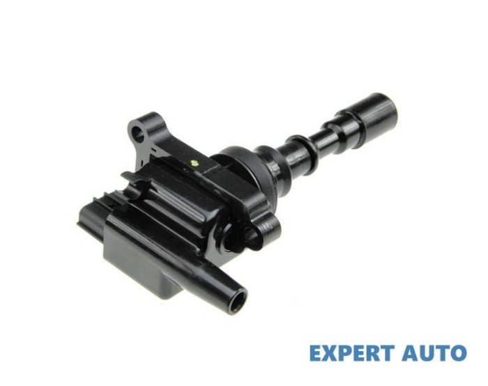 Bobina inductie Hyundai Terracan (2001-2008)[HP] #1