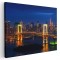 Tablou podul Curcubeu Tokyo Japonia Tablou canvas pe panza CU RAMA 60x90 cm