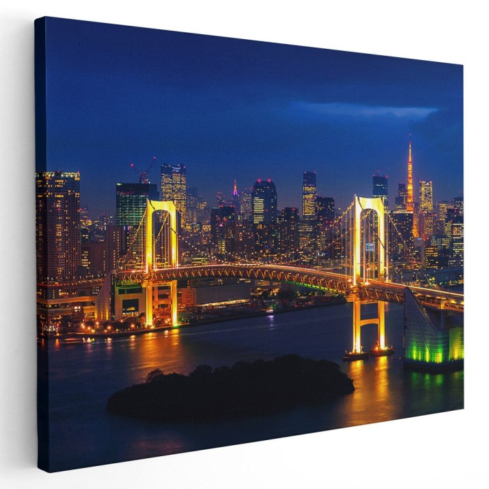 Tablou podul Curcubeu Tokyo Japonia Tablou canvas pe panza CU RAMA 30x40 cm