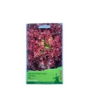 Seminte Salata Creata Lollo Rossa 2 g., Oem