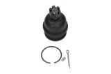 Pivot NISSAN NP300 PICKUP (D22) (2008 - Prezent) MAXGEAR 72-2708