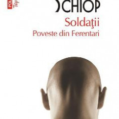 Soldatii. Poveste din Ferentari - Adrian Schiop