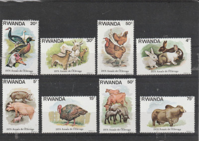 Rwanda 1978-Fauna,Animale domestice,serie 8 valori,dantelate,MNH,Mi.966-973 foto