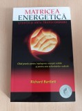 Cumpara ieftin Richard Bartlett - Matricea energetica