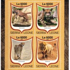 SIERRA LEONE 2016 - Feline mari / set complet MNH-colita+bloc