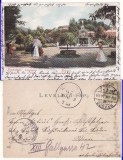 Brasov- Parcul -clasica-animata, Circulata, Printata