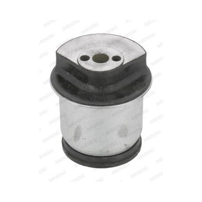 Moog suport, ax foto