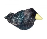 Pasare cu sunet Graur - STARLING, Wild Republic