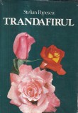 Stelian Popescu - Trandafirul