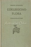 Exkursionsflora Von Deutschland II - Werner Rothmaler