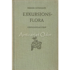 Exkursionsflora Von Deutschland II - Werner Rothmaler
